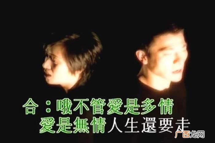 刘德华与梅艳芳最后一次合唱，刘德华与梅艳芳合唱了一首