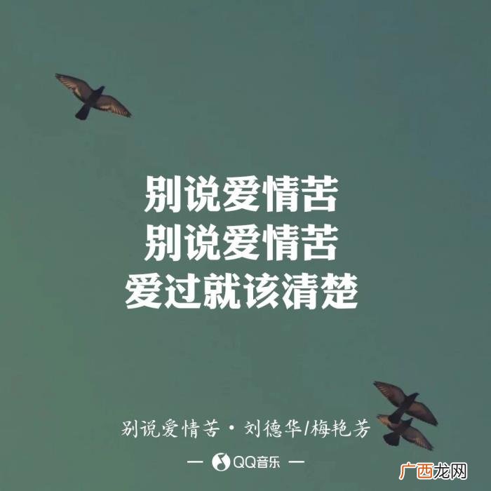 刘德华与梅艳芳最后一次合唱，刘德华与梅艳芳合唱了一首