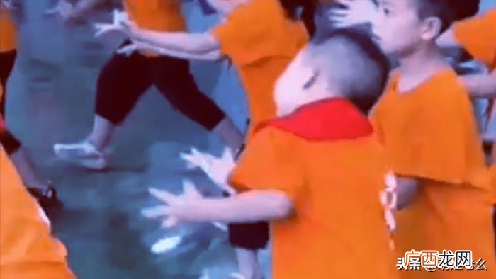 重庆的一小男孩火了 重庆小男孩