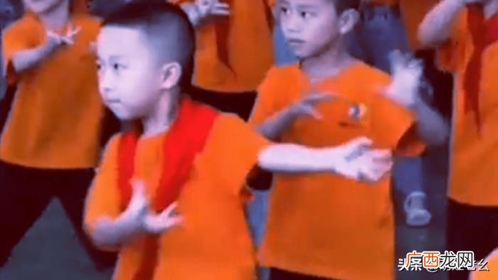 重庆的一小男孩火了 重庆小男孩