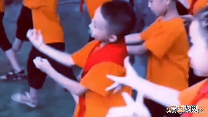 重庆的一小男孩火了 重庆小男孩
