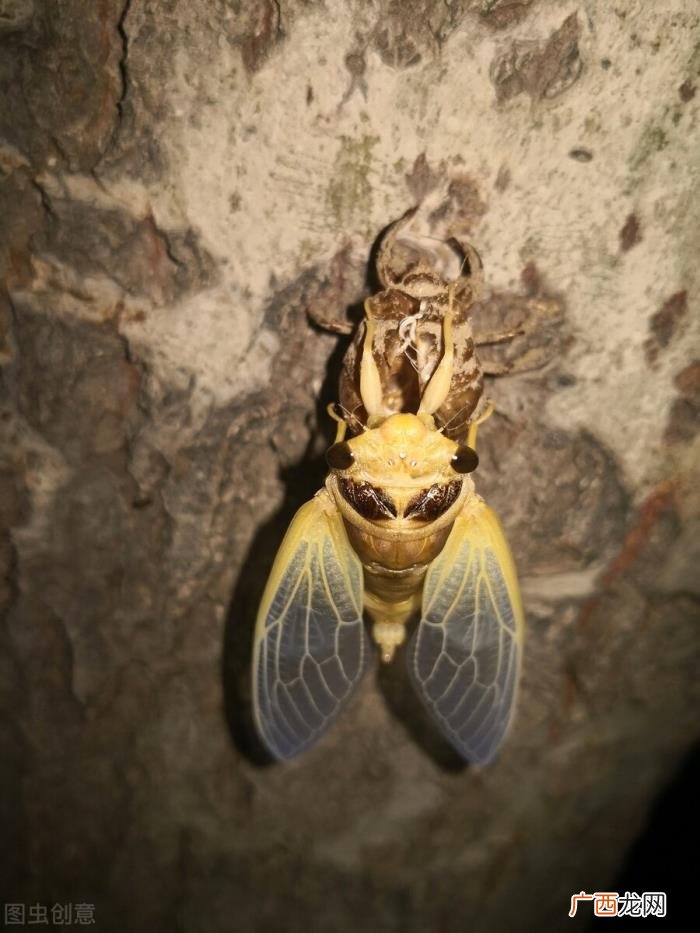 生活仍碌碌无为 光阴就像那流水生活仍碌碌无为