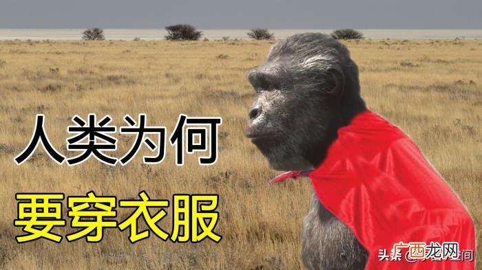 亚特兰蒂斯真的是外星文明吗 亚特兰蒂斯正在苏醒是什么意思