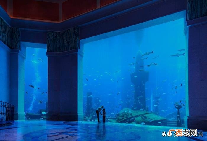 亚特兰蒂斯真的是外星文明吗 亚特兰蒂斯正在苏醒是什么意思