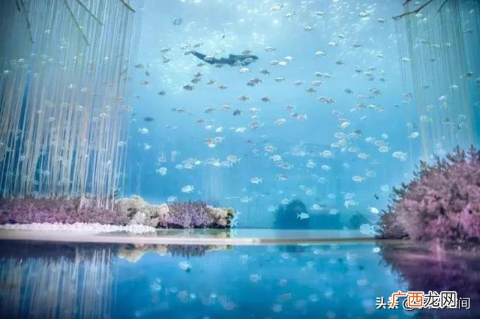 亚特兰蒂斯真的是外星文明吗 亚特兰蒂斯正在苏醒是什么意思