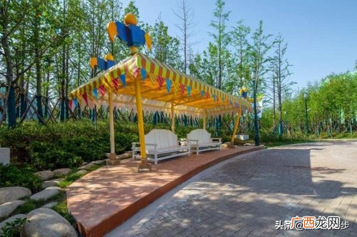 苏州乐园森林世界全新回归 苏州乐园门票多少钱