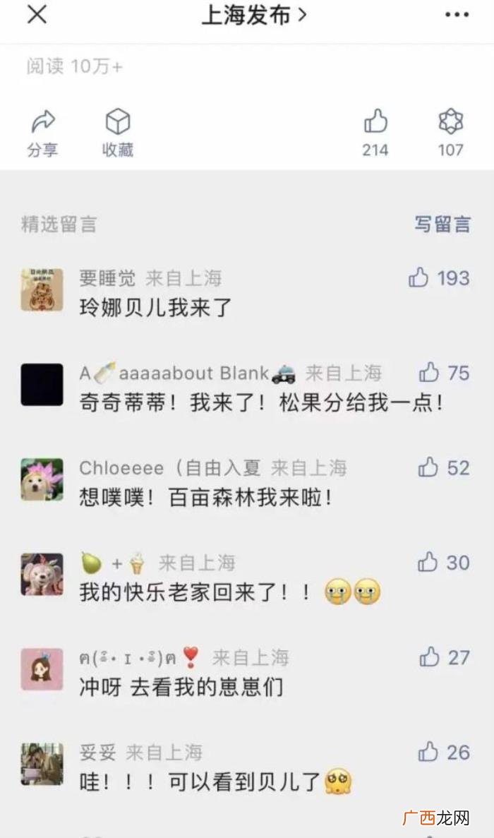 上海迪士尼门票今早恢复销售 上海进口博览会门票