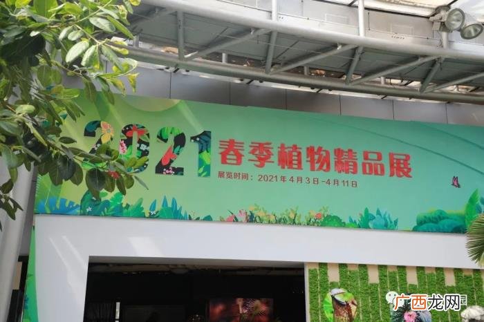 北京植物园周末游园攻略 北京植物园怎么走