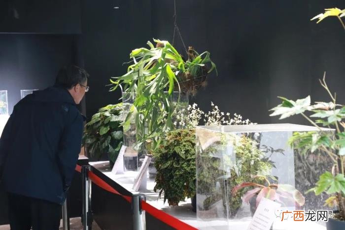 北京植物园周末游园攻略 北京植物园怎么走