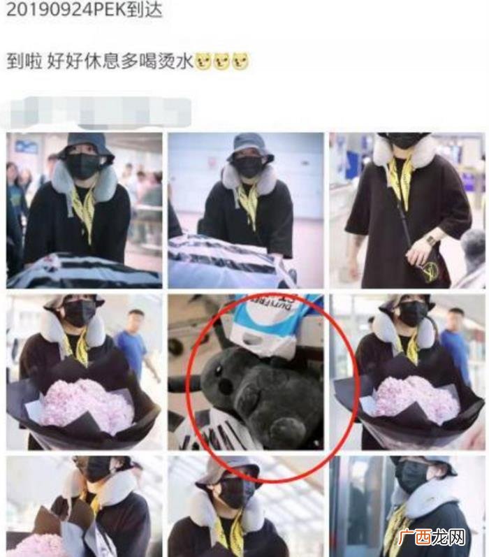 贾乃亮李小璐离婚已传两年 李小璐贾乃亮离了吗
