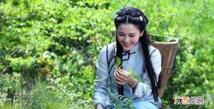 赵樱子战胜赵韩樱子 赵韩樱子彭冠英
