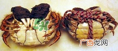 螃蟹怎么吃好吃？螃蟹和什么一起吃最好？