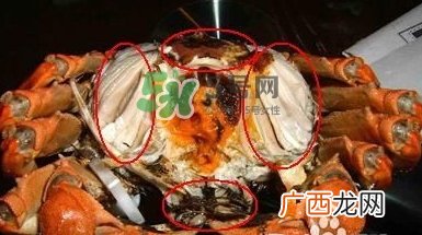 螃蟹怎么吃好吃？螃蟹和什么一起吃最好？