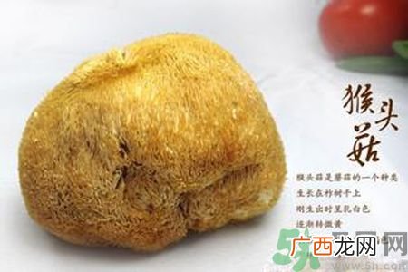 哺乳期可以吃猴头菇吗？产妇可以吃猴头菇吗？