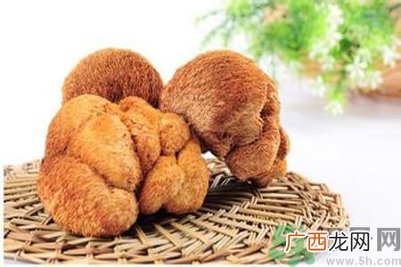 哺乳期可以吃猴头菇吗？产妇可以吃猴头菇吗？