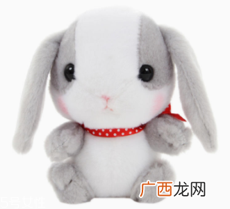 AMUSE玩偶是哪个国家的牌子？东京御宅族文化商品