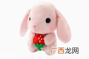 AMUSE玩偶是哪个国家的牌子？东京御宅族文化商品