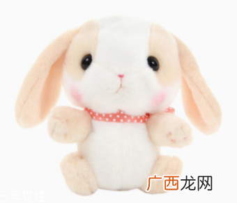 AMUSE玩偶是哪个国家的牌子？东京御宅族文化商品