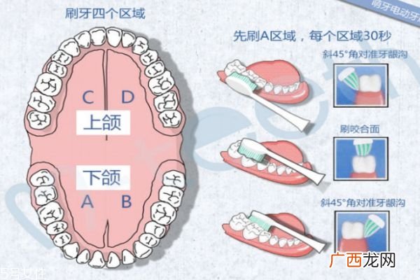 飞利浦电动牙刷怎么用 手把手教你如何使用电动牙刷
