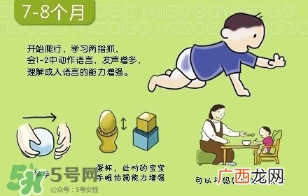 宝宝几个月会坐会爬 宝宝几个月爬正常
