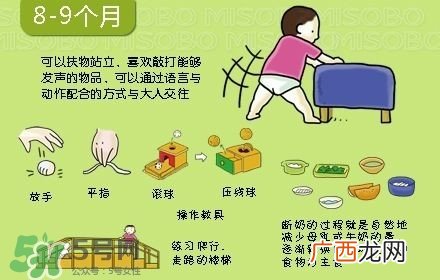 宝宝几个月会坐会爬 宝宝几个月爬正常