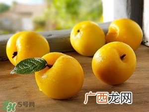 孕妇能吃李子吗 李子孕妇能不能吃