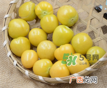 菇娘宝宝能吃吗？宝宝可以吃姑娘果吗