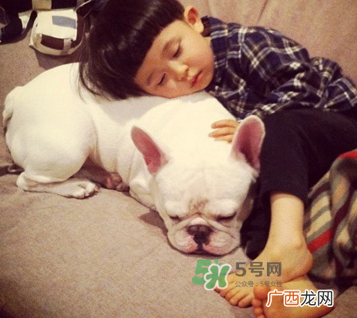 宠物对婴儿的影响 宠物对婴儿的危害有哪些？