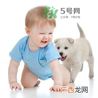 宠物对婴儿的影响 宠物对婴儿的危害有哪些？