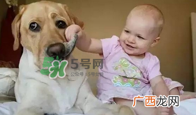 宠物对婴儿的影响 宠物对婴儿的危害有哪些？