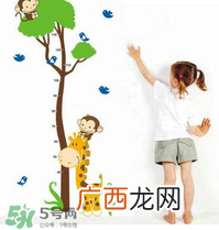 给孩子补钙可以长高吗？身高跟补钙有没有直接关系？