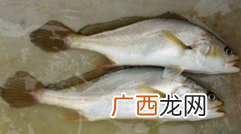 小孩能吃黄唇鱼吗？小孩吃黄唇鱼好吗？
