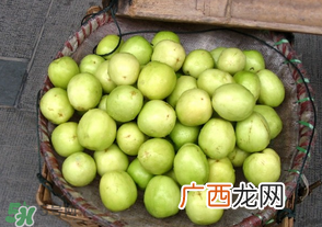 宝宝可以吃青枣吗？宝宝可以多吃青枣吗？