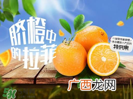 给宝宝吃脐橙好还是血橙好？脐橙好吃还是血橙好吃？
