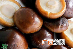 一岁宝宝可以吃香菇吗？宝宝多大可以吃香菇？