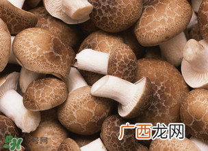 一岁宝宝可以吃香菇吗？宝宝多大可以吃香菇？