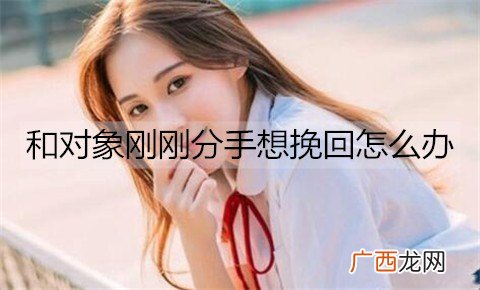 和对象刚刚分手想挽回怎么办？