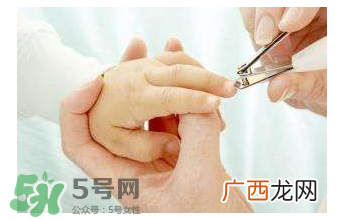 宝宝指甲用什么剪？宝宝剪指甲需要专门的工具吗？