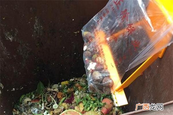 湿垃圾破袋什么意思 湿垃圾用什么装可以一起扔