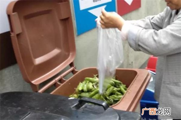 湿垃圾破袋什么意思 湿垃圾用什么装可以一起扔