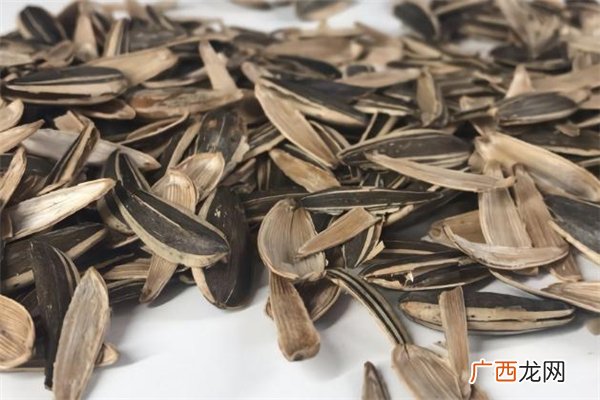 瓜子壳属于什么垃圾 瓜子壳是干垃圾还是湿垃圾