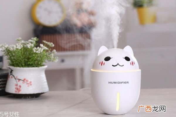 加湿器里面可以加醋吗 加湿器的保养方法