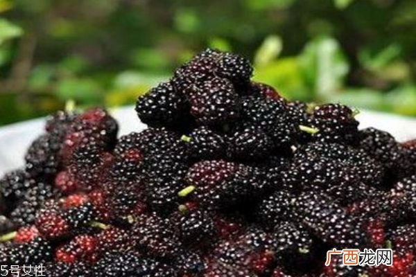 桑葚把手染了怎么洗 桑葚吃了为什么会变色