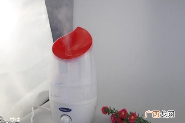 加湿器里可以放醋吗 加湿器加醋能预防感冒吗