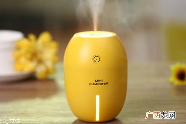 加湿器里可以放醋吗 加湿器加醋能预防感冒吗