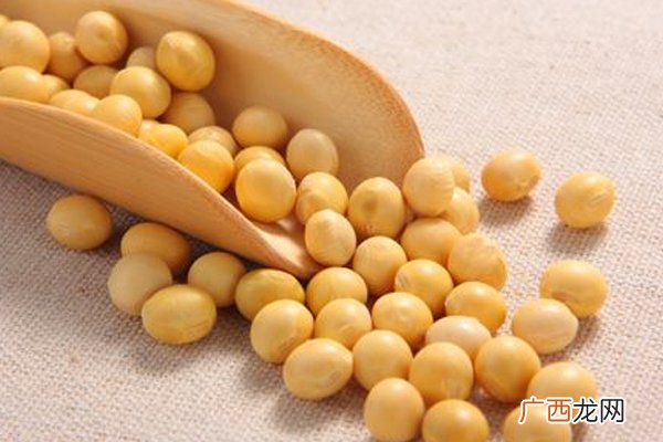 黄豆怎么挑选 黄豆选购注意事项