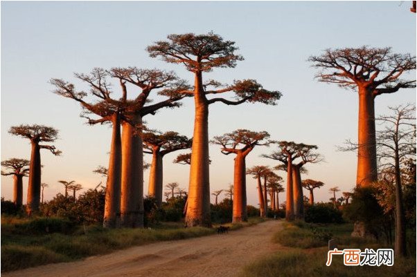 一生必去的15个旅游景点 绝世美景等着你