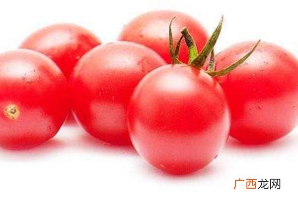 千禧果为什么贵 千禧果多少钱一斤
