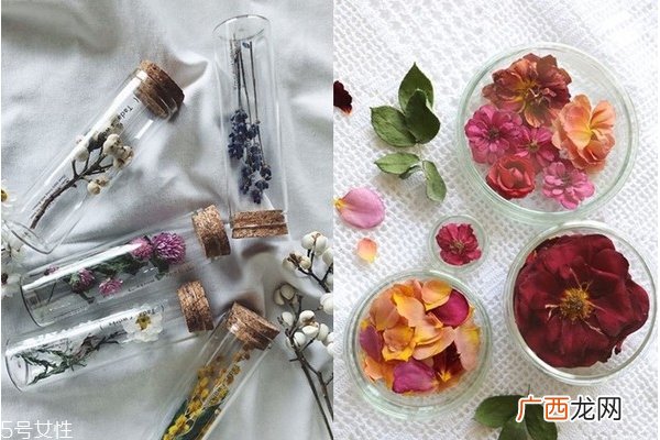 干燥花怎么做 5种干燥花制作方法