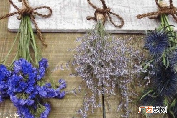 干燥花怎么做 5种干燥花制作方法